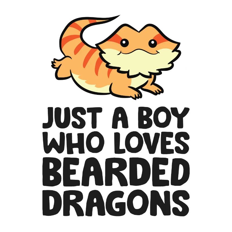 Bartagame Reptil Nur ein Junge, der Bartagamen