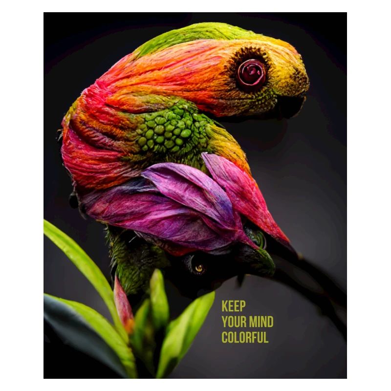 Colorful parrot for all sharp minds