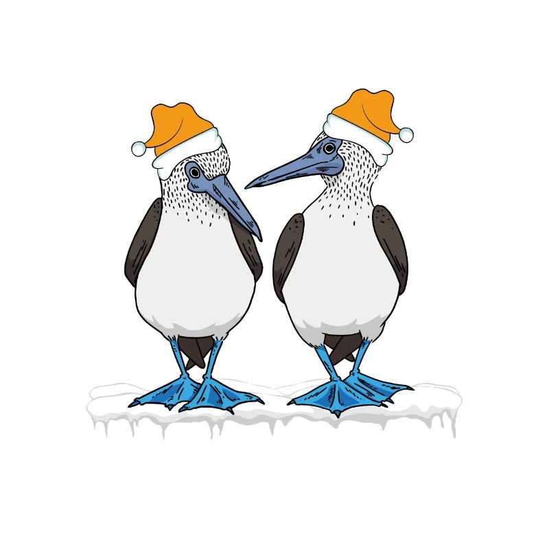 Blue-footed Christmas