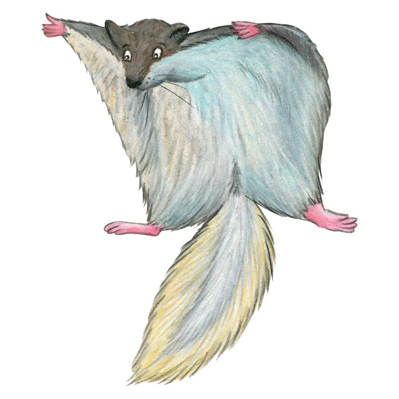 Flughörnchen