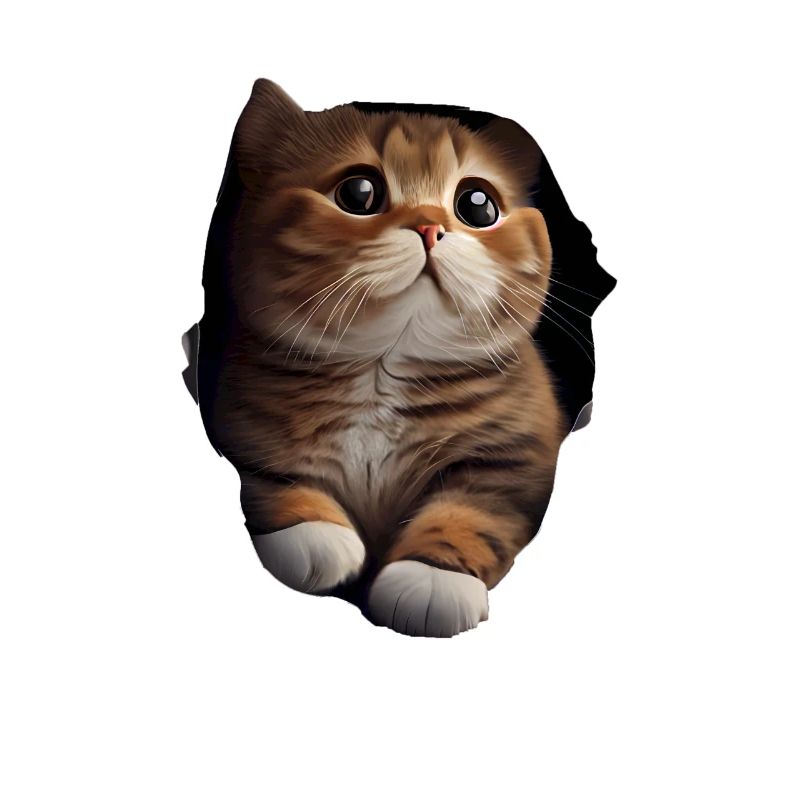 Chat mignon Chaton Craqué Chat Amants Chats Chats