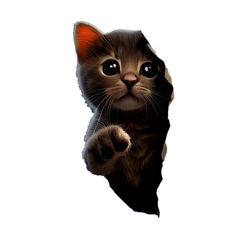 Chat mignon Chaton Craqué Chat Amants Chats Chats