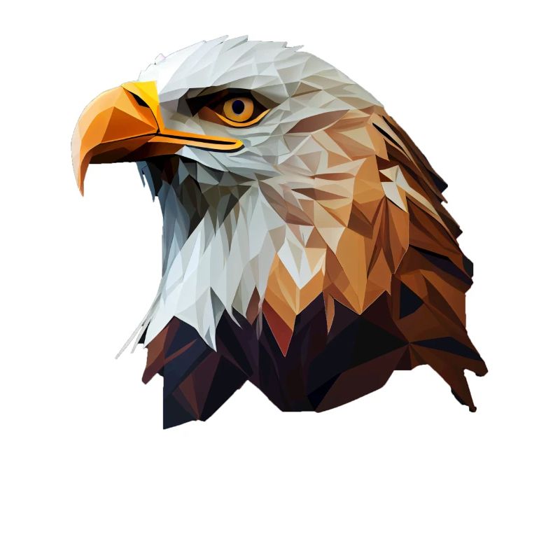 Cool polygon design with a bald eagle