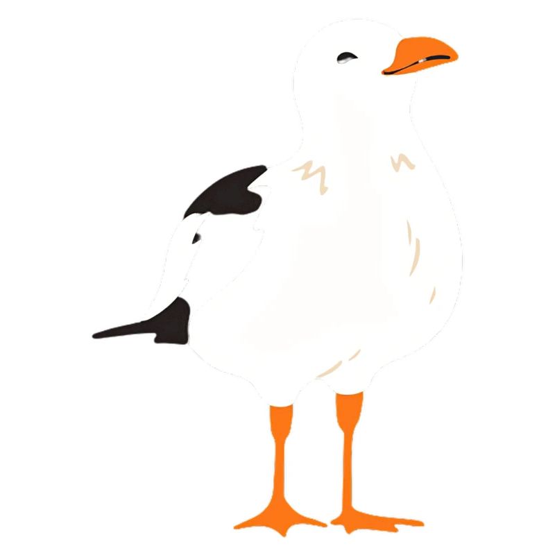 Möwe