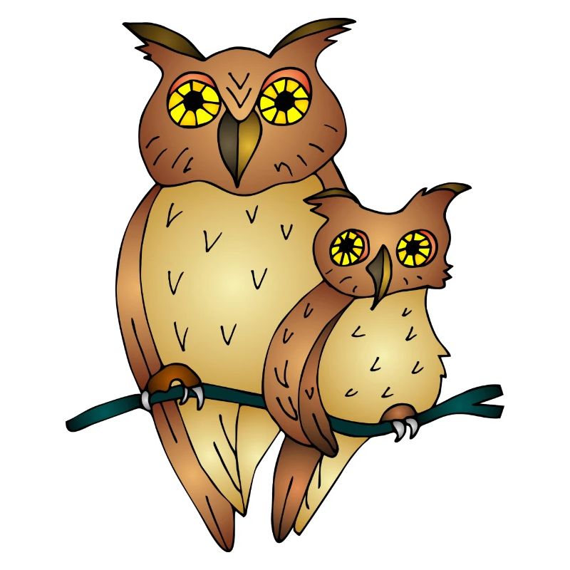 Oiseaux