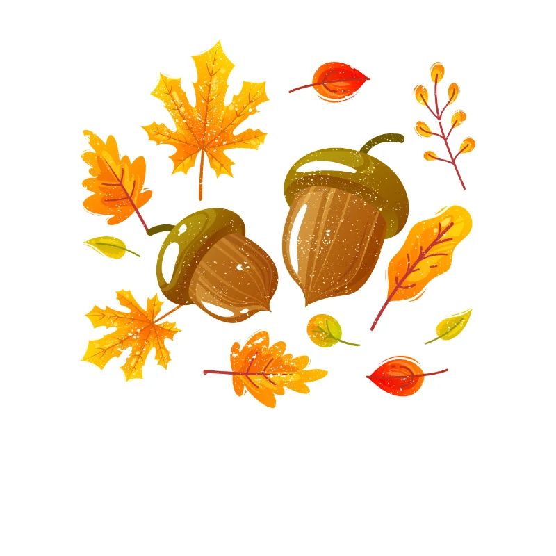 Herbstblätter Eicheln Herbst Eichhörnchen Ernte