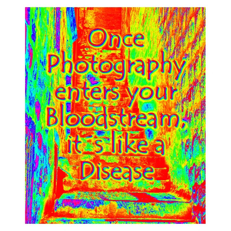 phtotography disease red