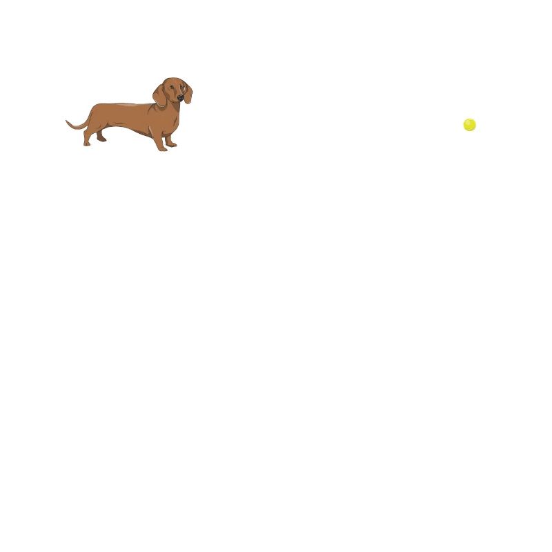Hund Dackel Hundebesitzer Gechenkidee