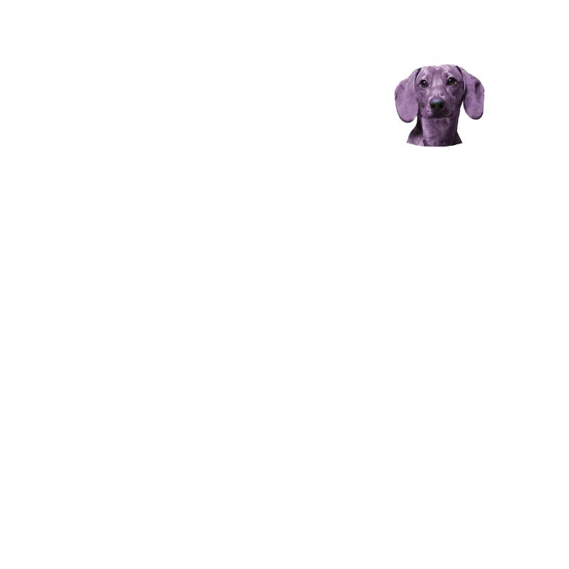 Hund Dackel Hundebesitzer Gechenkidee