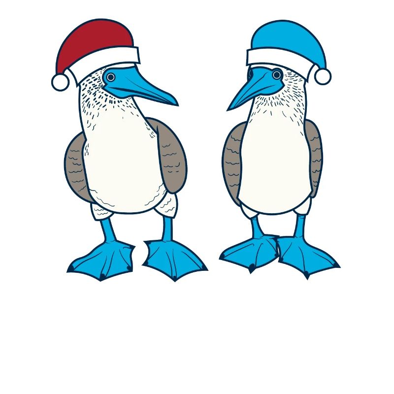 Fou à pieds bleus Noël