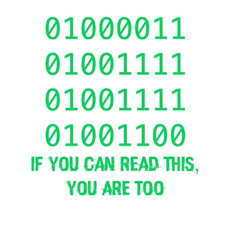 Computer Binary Code Developers Gift