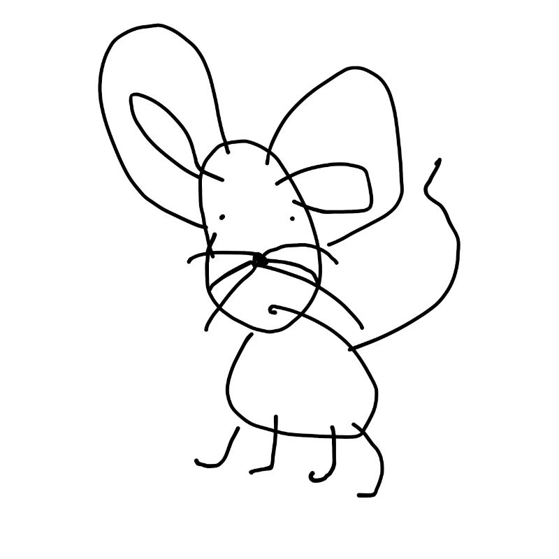 Mouse Animal