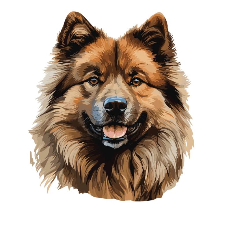 Chien Eurasier