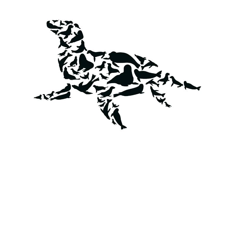 Robbe Seelöwe Robben Silhouette