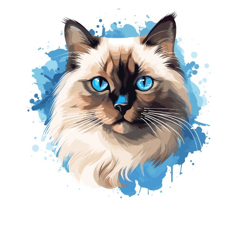 Chat de Birmanie Birma Katze