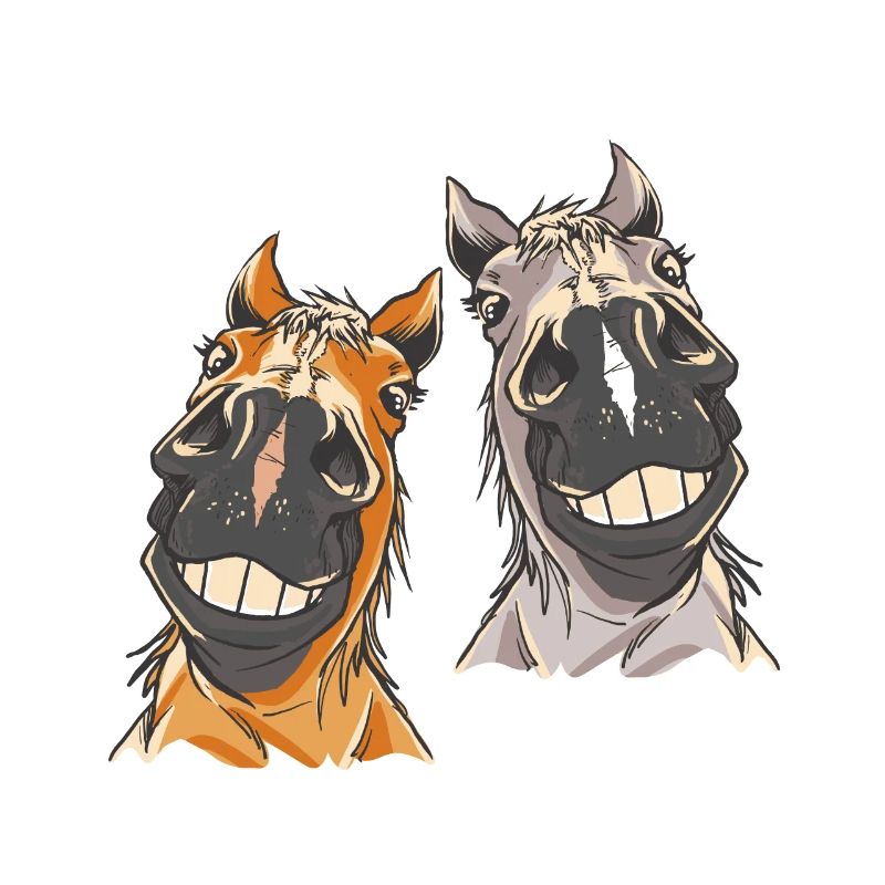 Pferdekopf Pferd Pferde