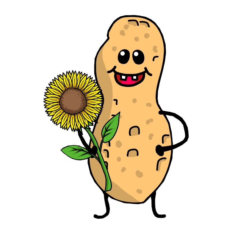 Peanut Peanut Funny Cute Sunflower