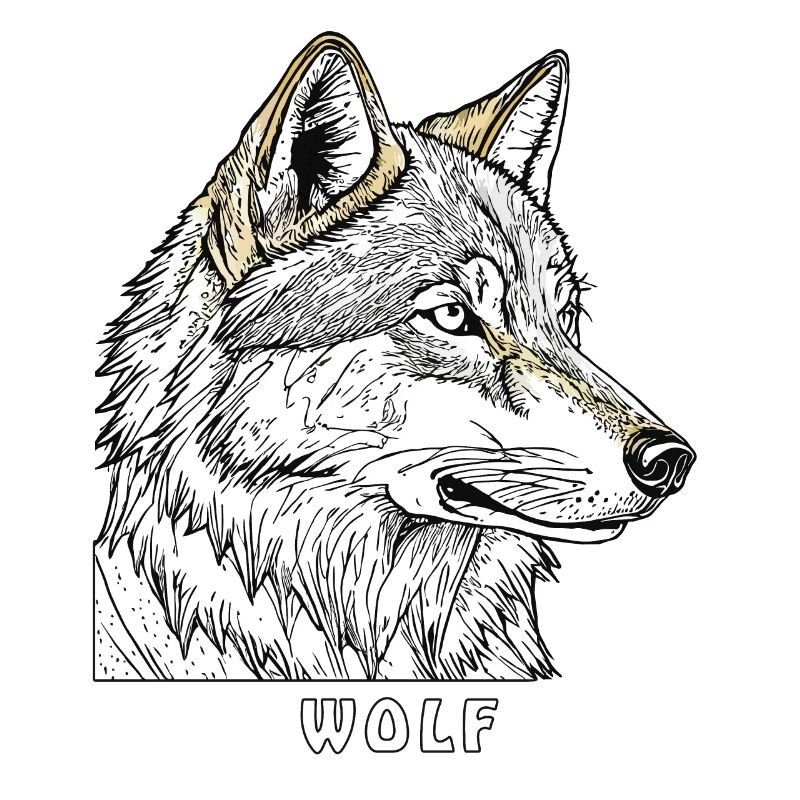 WOLF ZEICHNUNG