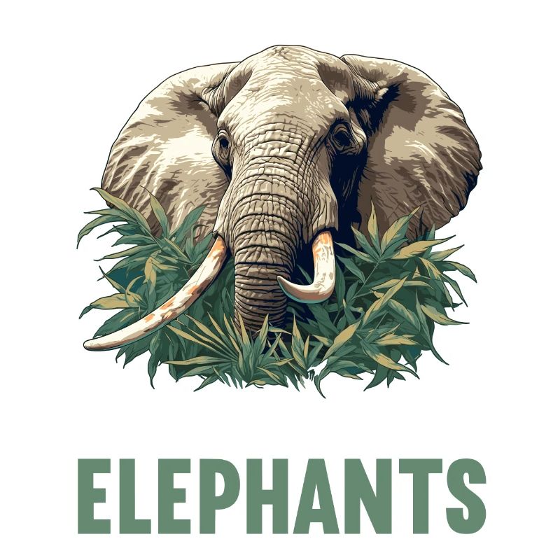 Éléphant Éléphant