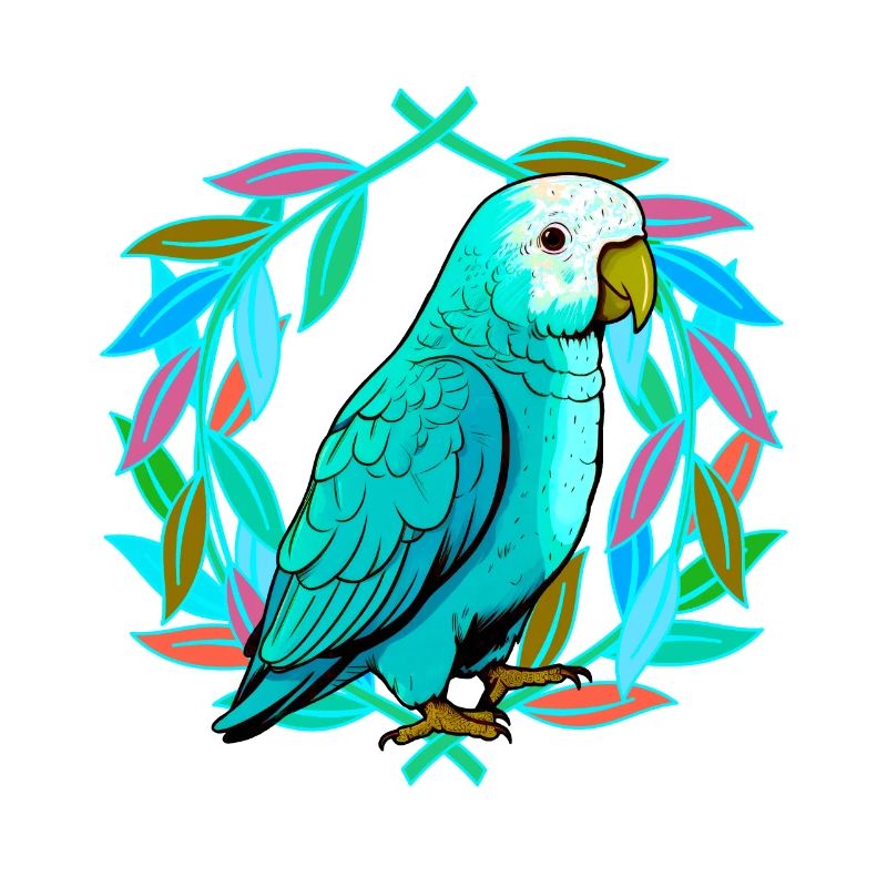 perroquet perroquets oiseau oiseaux