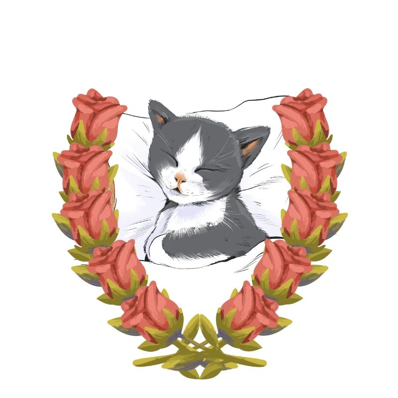 Cat Cats Kitten Sleeping Child
