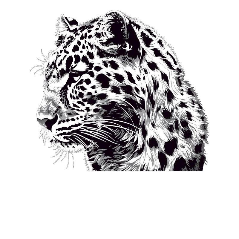 Leoparden Leopard