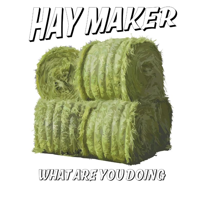 HAY MAKER