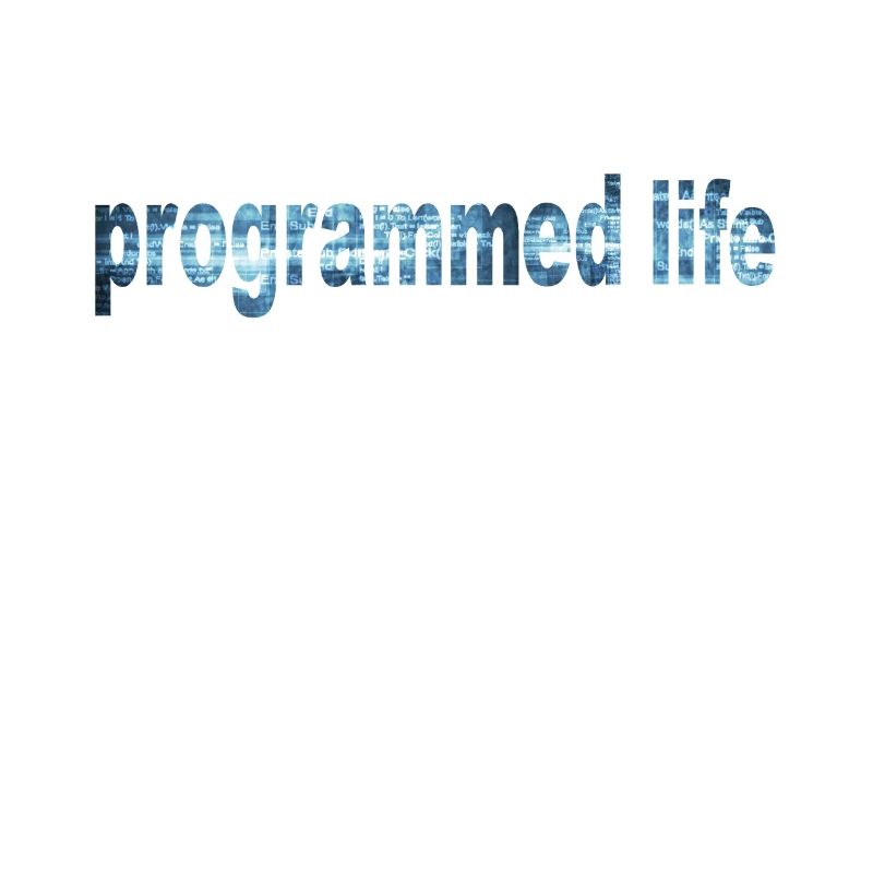 Programmed Life Typography Programmed Life