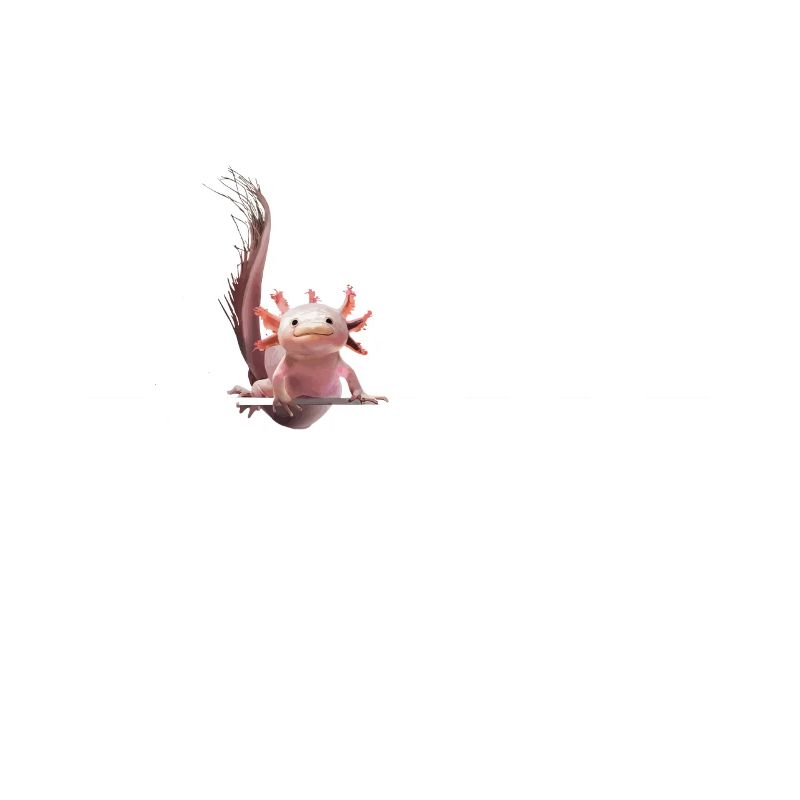 Axolotl