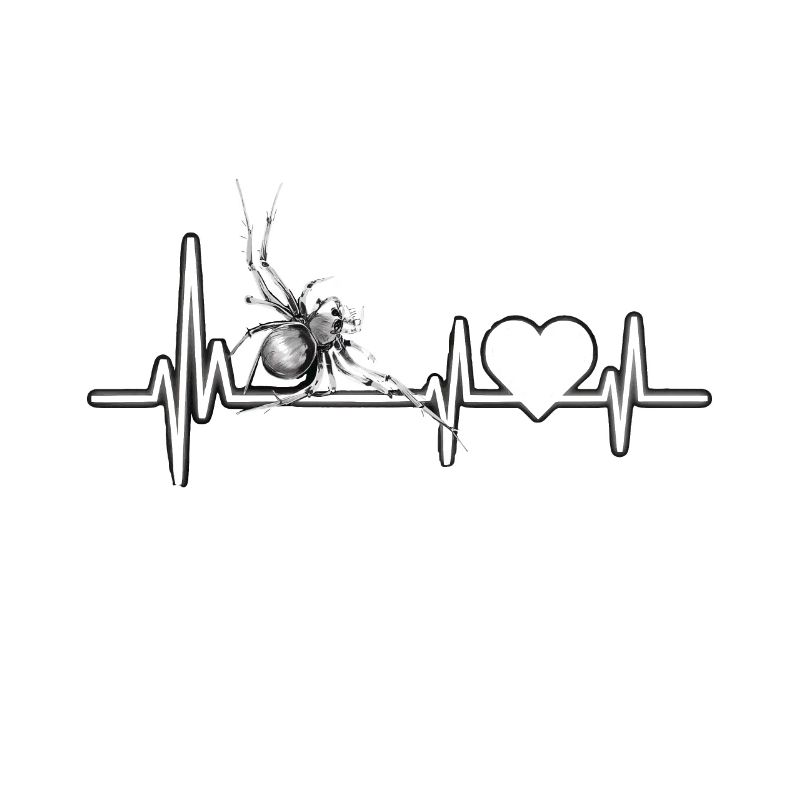 Spinne