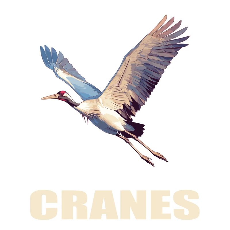 Kraniche Kranich