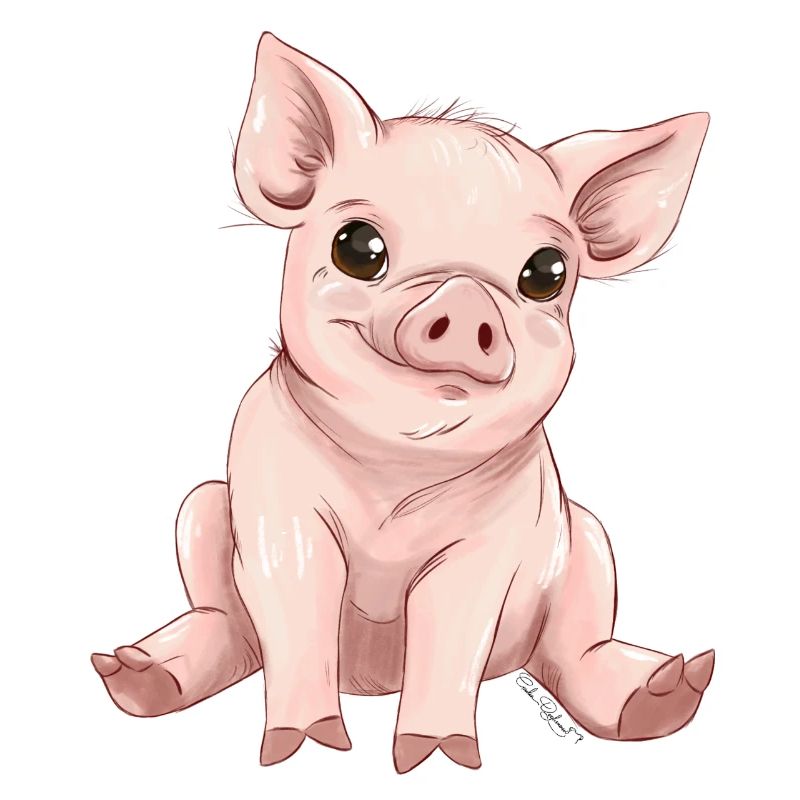 Schweinchen