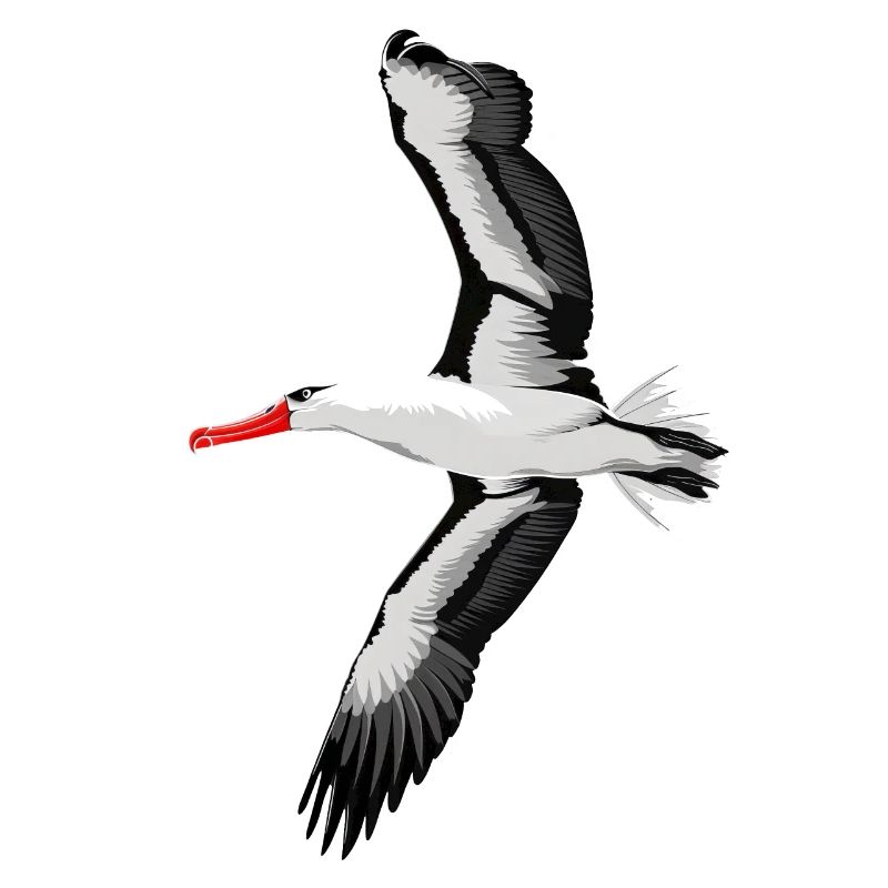 Möwe