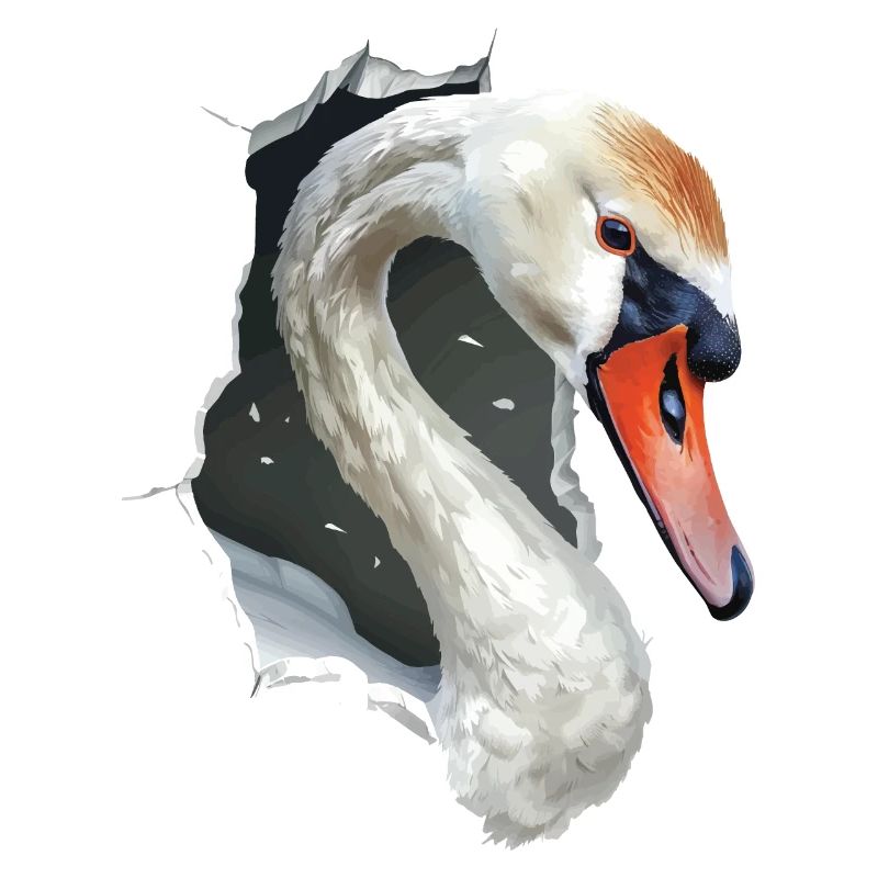 Schwan