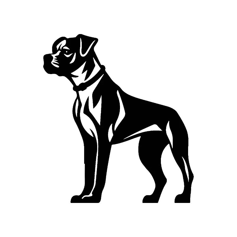 Boxer Hund