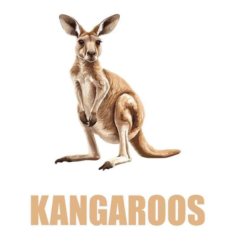 Kängurus Känguru