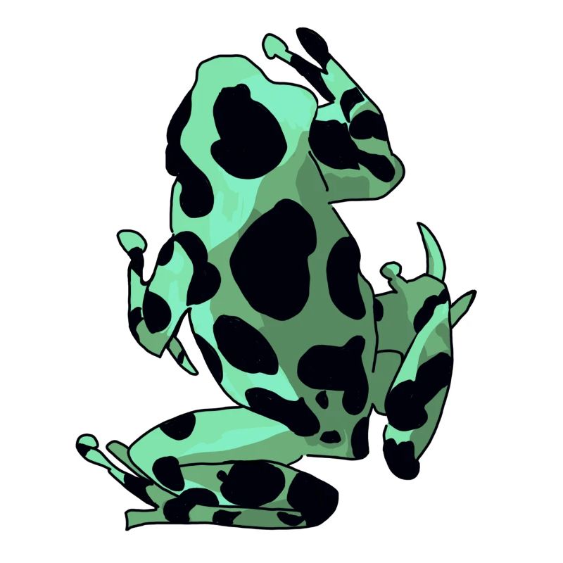 Frosch & Kröte