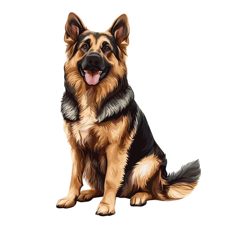 Deutscher Schäferhund