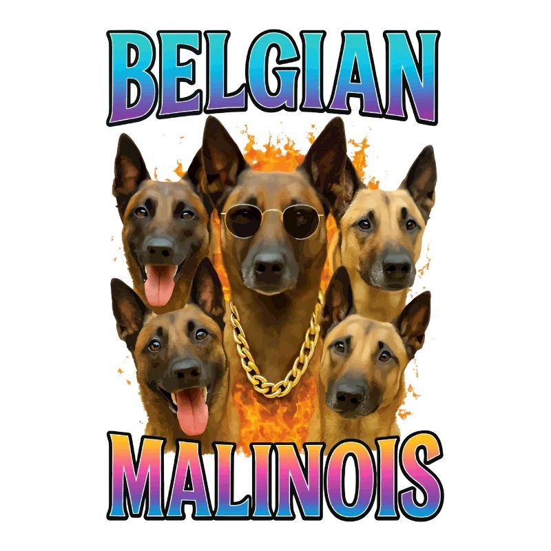 Belgischer Malinois