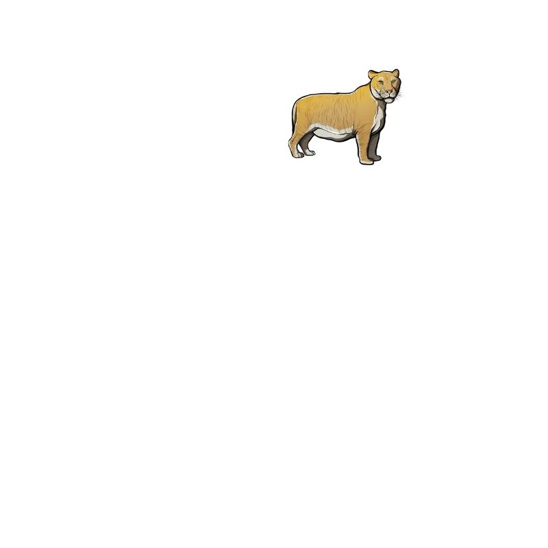 Ligers Liger