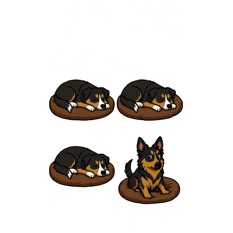 Australian Shepherd
