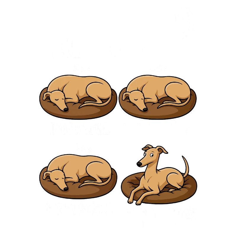 Windhund Greyhound
