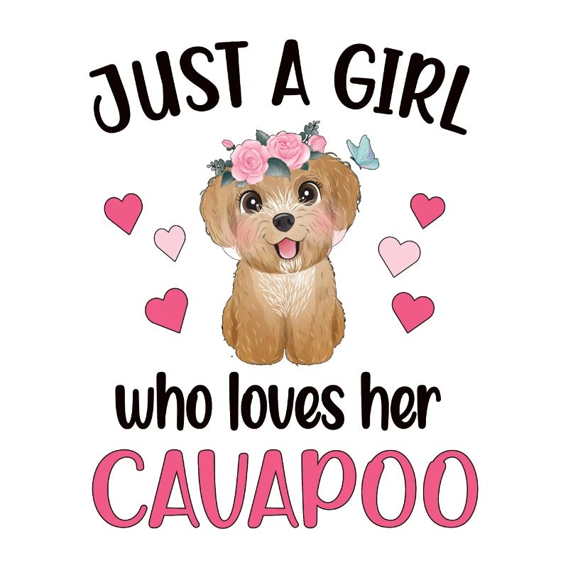 Cavapoo fille Cavoodle Dame de chien Cavapoo Mignon