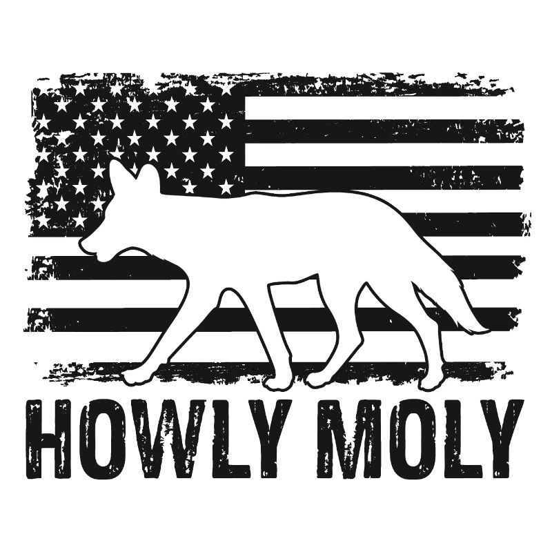 Conception de coyote pour les réacteurs de coyote