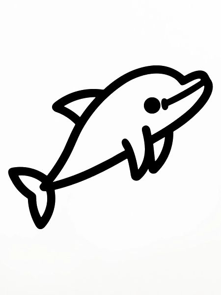dolphin