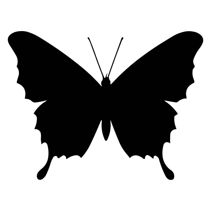 Petit papillon