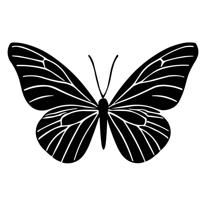 Petit papillon