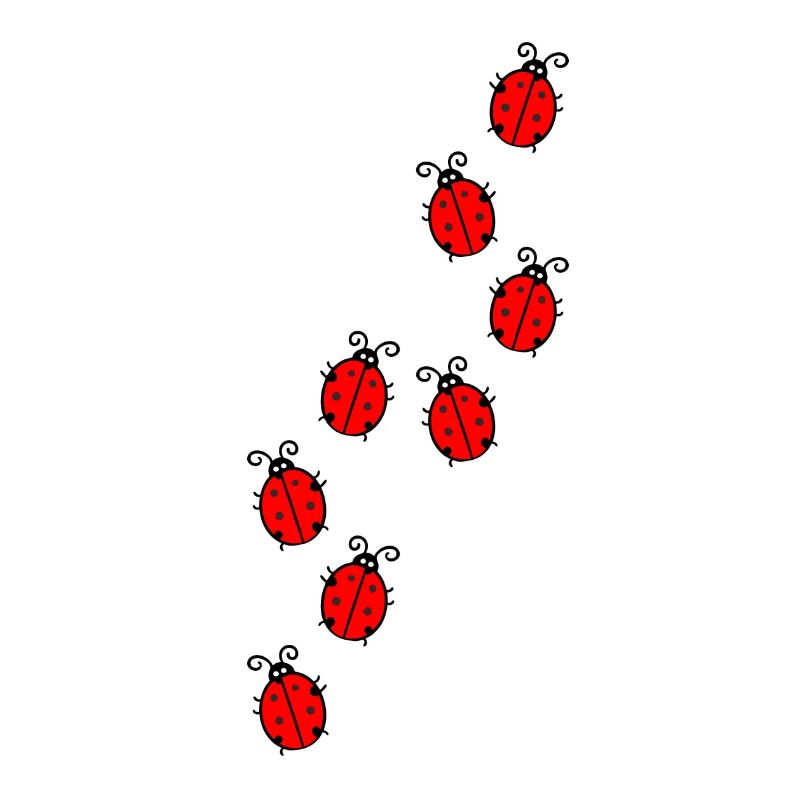 Ladybug
