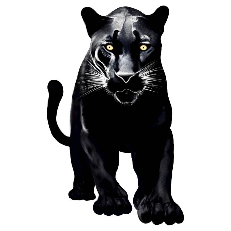 Schwarzer Leopard