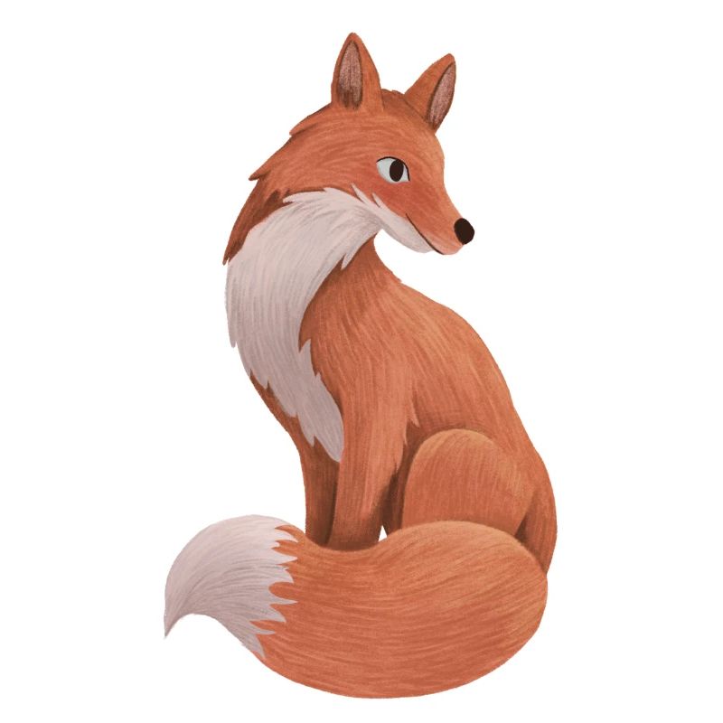 Fuchs Illustration